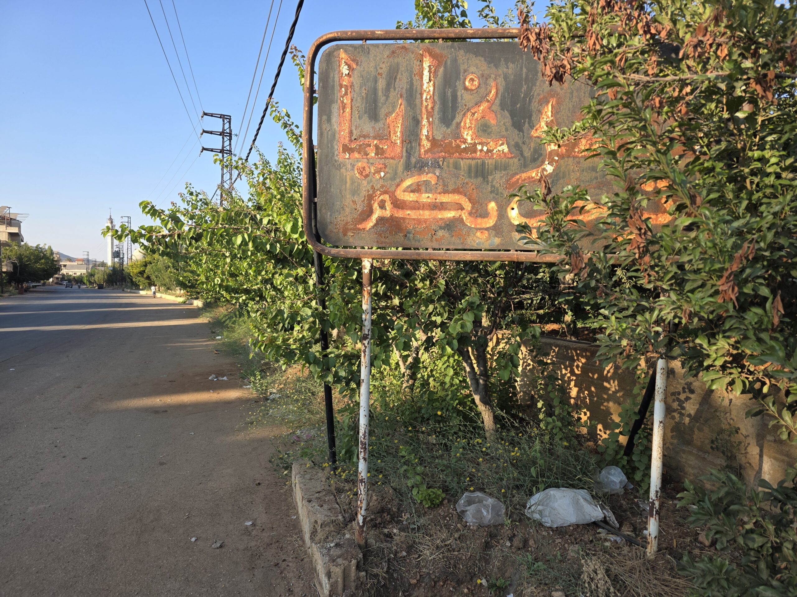 سرغايا