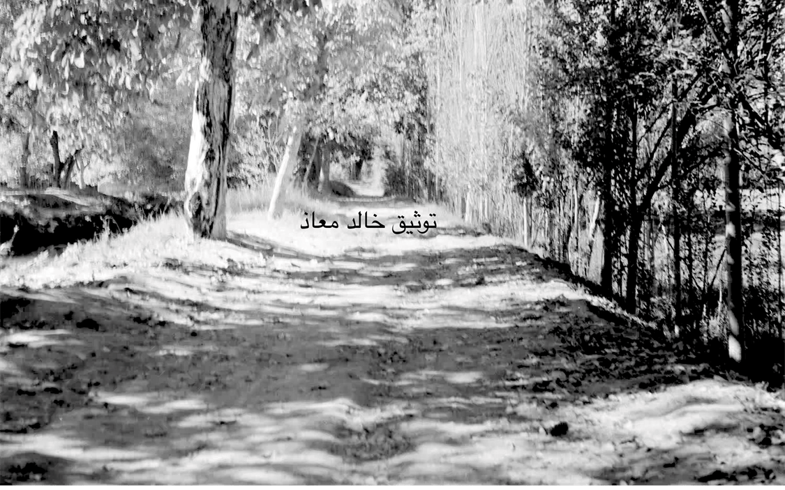 بساتين النيرب ونهر تورا في دمشق عام 1955م