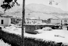 أحد البيادر في سرغايا – ريف دمشق عام 1956م