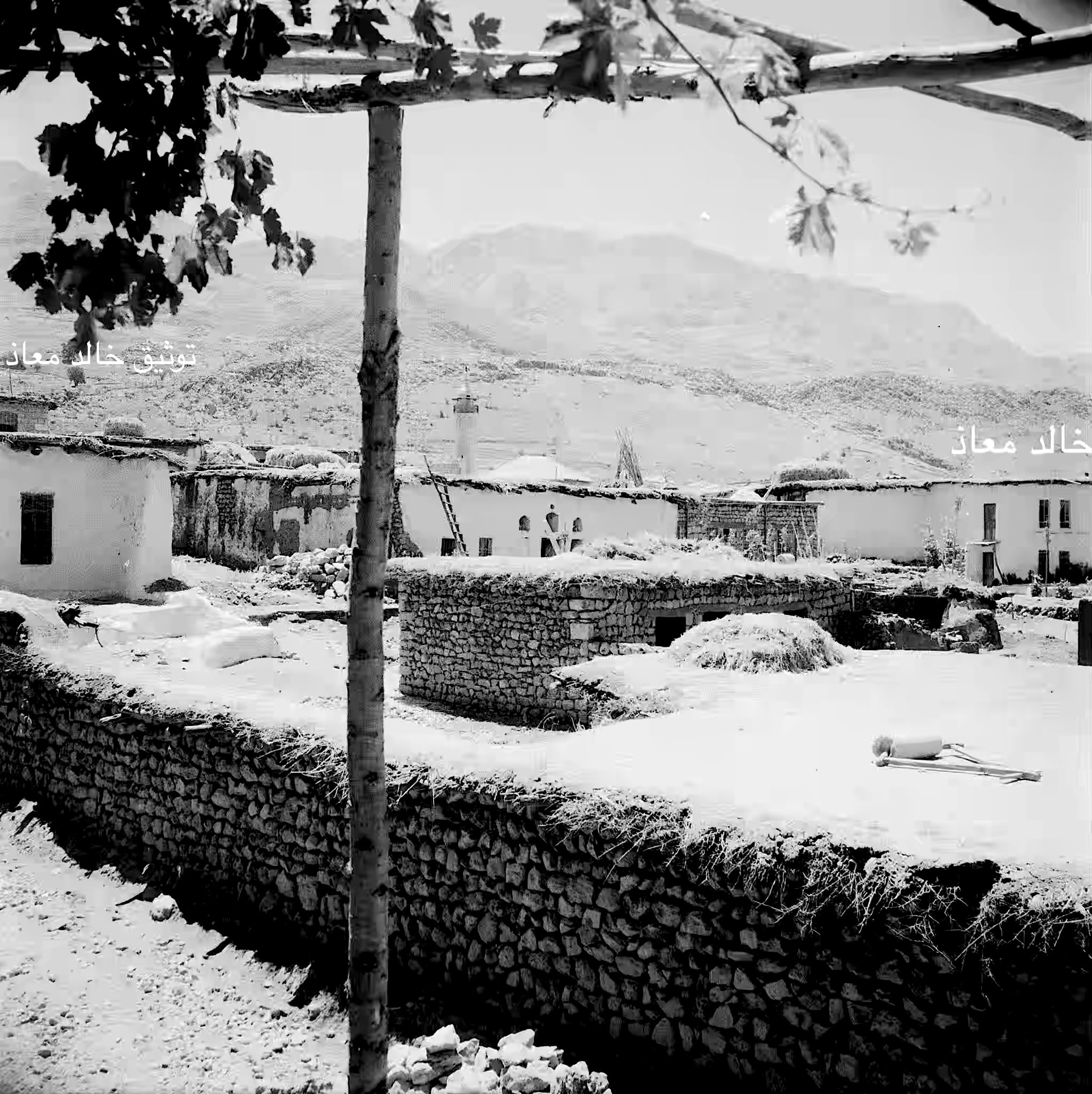 أحد البيادر في سرغايا - ريف دمشق عام 1956م