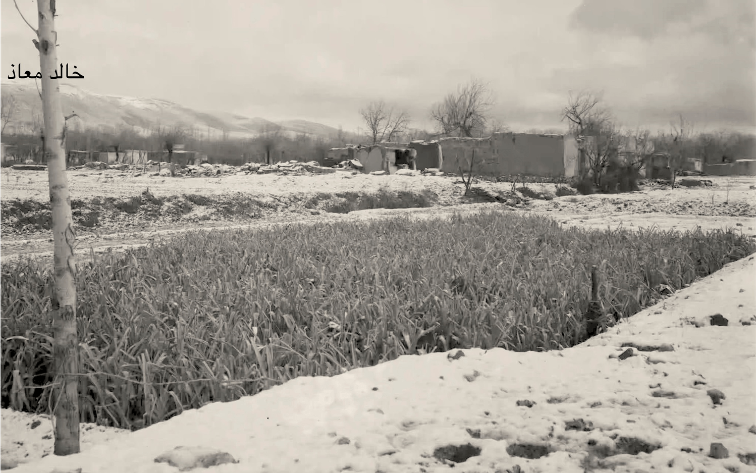 بساتين عين الكرش ..خلف مدرسة اللاييك - الحرية في دمشق عام 1953م