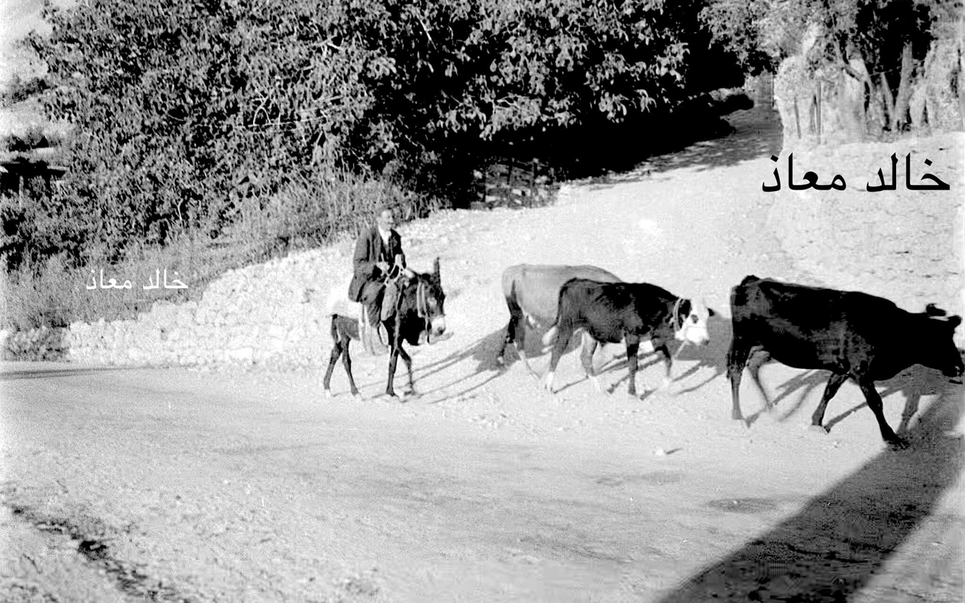 بلودان - ريف دمشق عام 1956