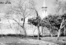 بستان الموصلي في حي الميدان بدمشق عام 1953