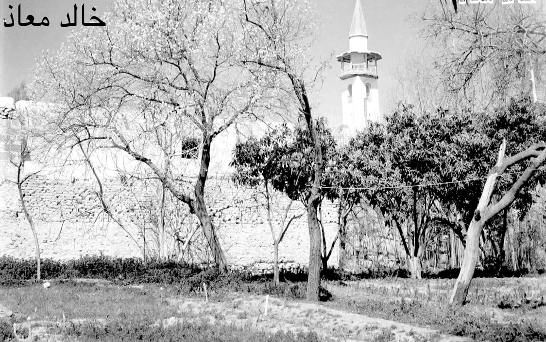 بستان الموصلي في حي الميدان بدمشق عام 1953