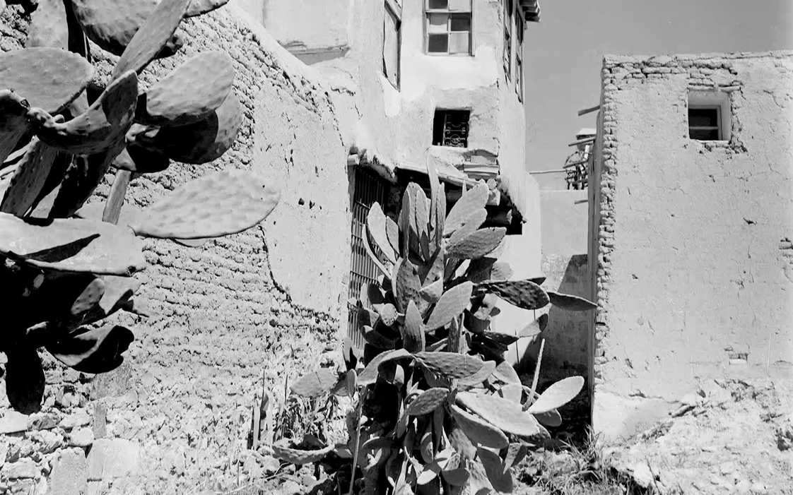 بستان الموصلي في حي الميدان بدمشق عام 1953 (2)