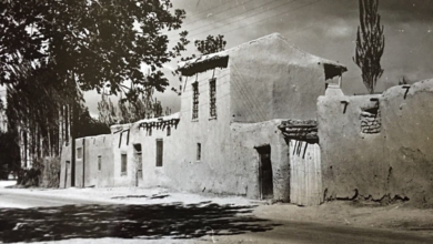 جانب من المدخل الغربي لقرية مرج السلطان عام 1954