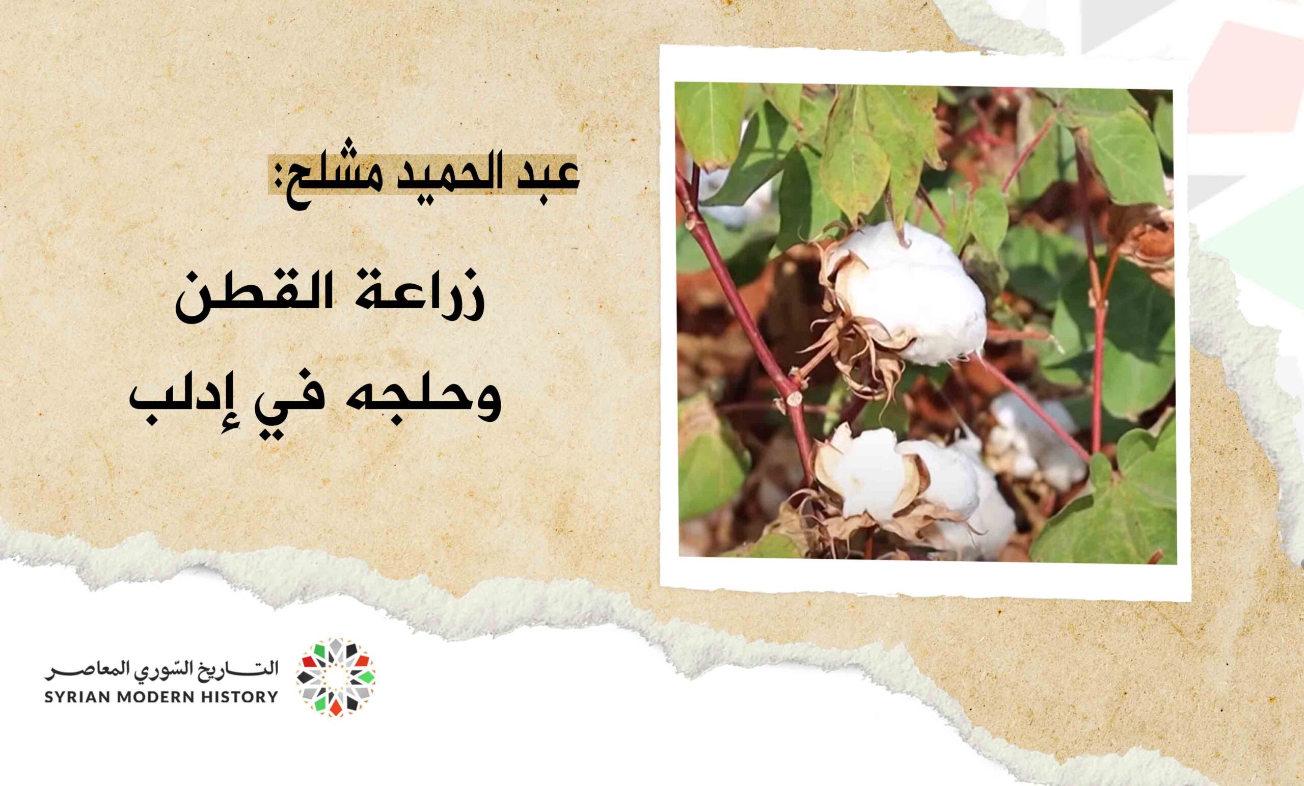 عبد الحميد مشلح: زراعة القطن وحلجه في إدلب